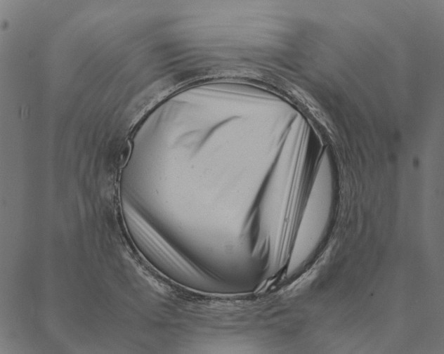 X0000087390985200705181303