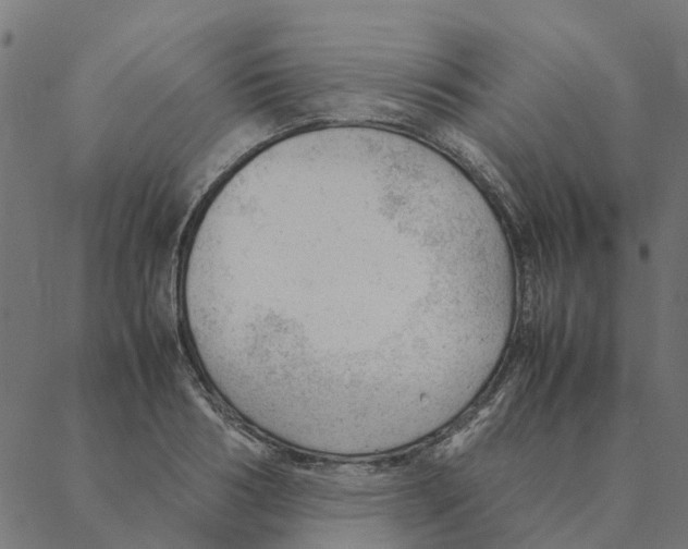 X0000087390986200705181303