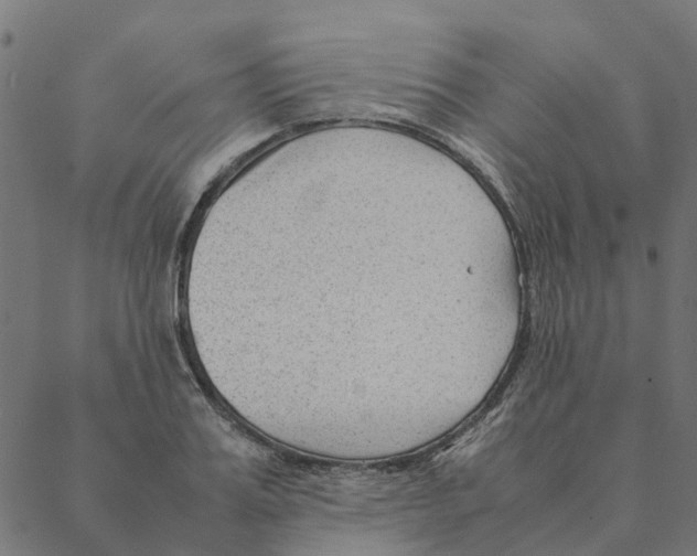 X0000087390987200705181303