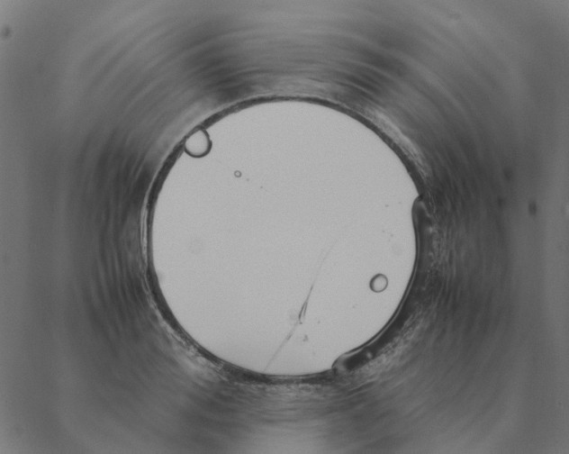 X0000087390988200705181303