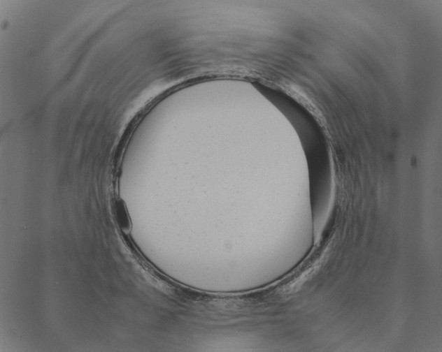 X0000087390989200705181303