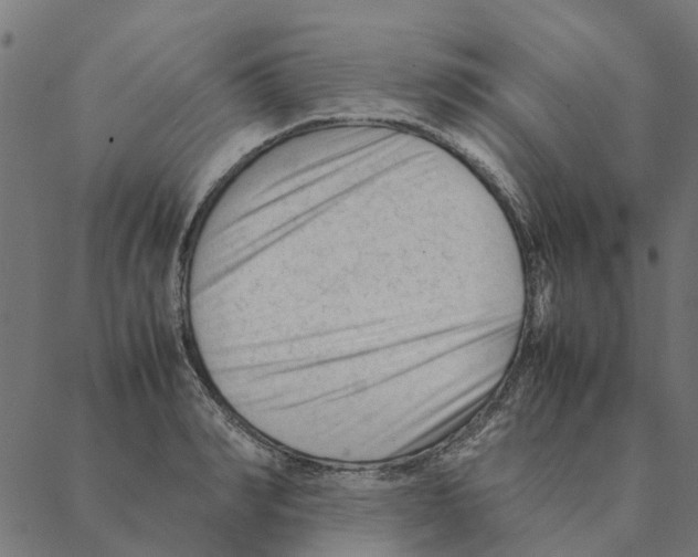 X0000087390990200705181303