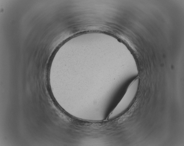 X0000087390991200705181303