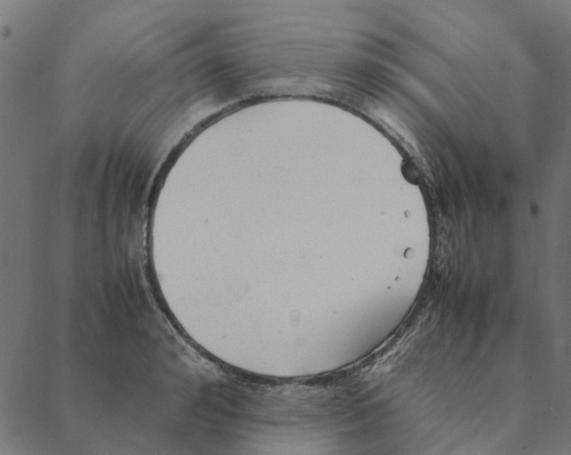 X0000087390992200705181303