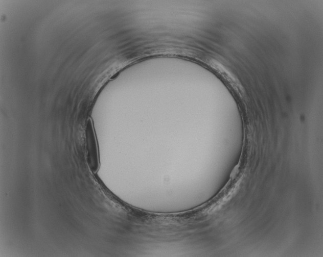 X0000087390993200705181303