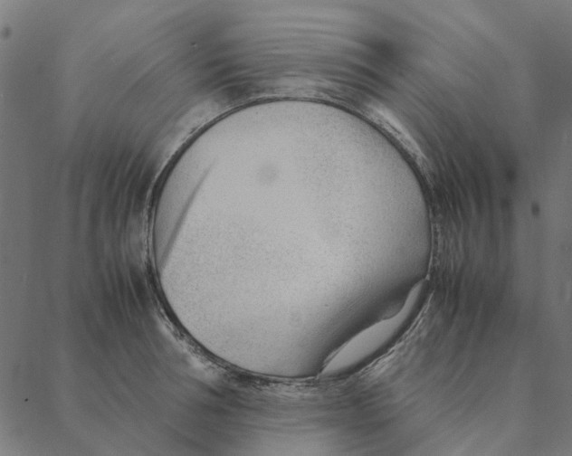 X0000087390994200705181303