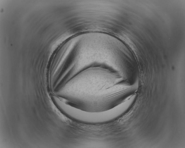 X0000087390995200705181303