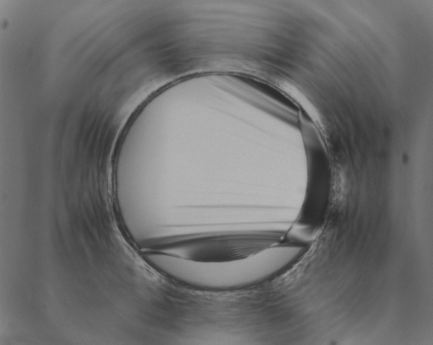 X0000087390996200705181303