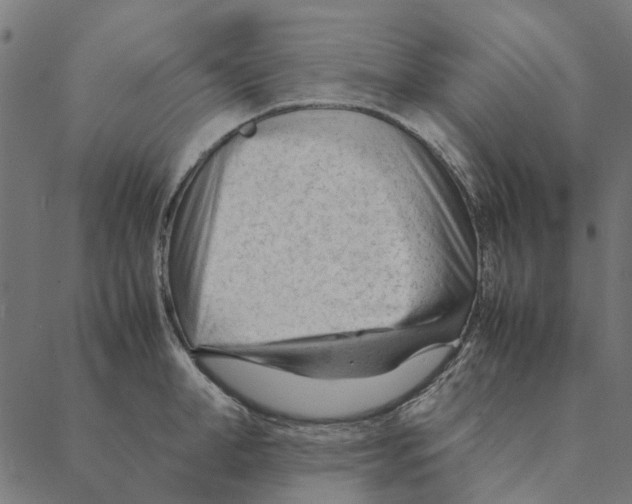 X0000087390998200705181303