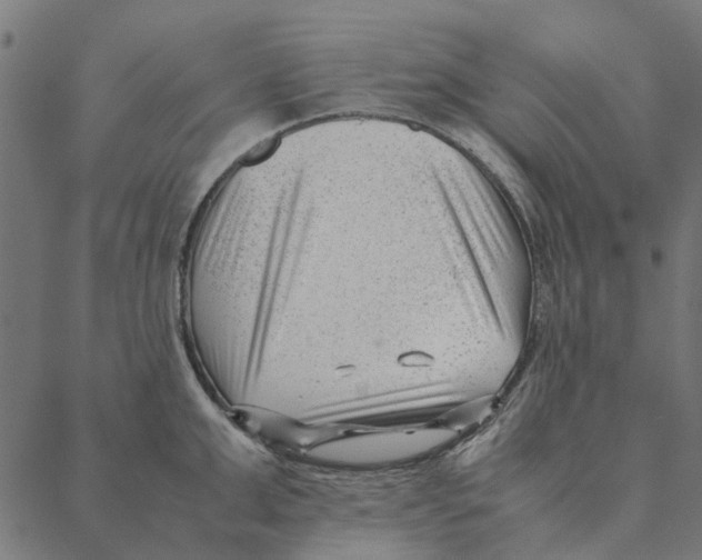 X0000087390999200705181303