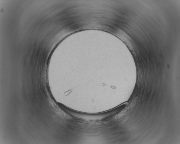 X0000087391000200705181302