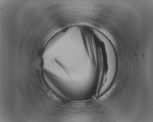 X0000087391001200705181302