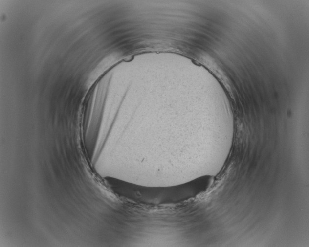 X0000087391002200705181302