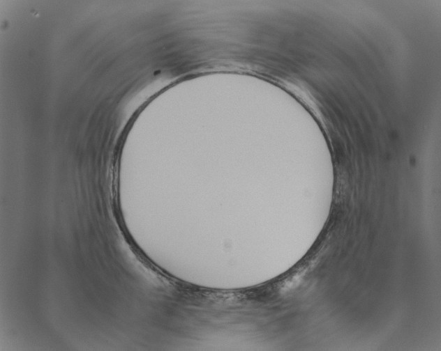 X0000087391003200705181302