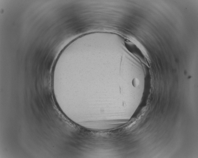 X0000087391004200705181302