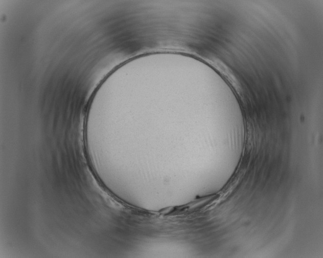 X0000087391006200705181302