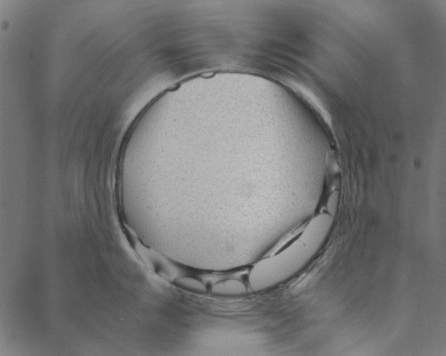 X0000087391007200705181302