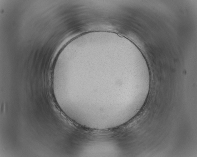 X0000087391008200705181302