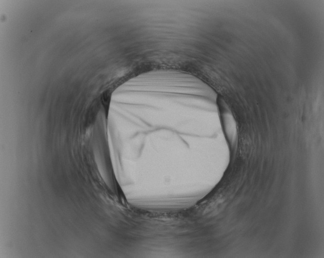 X0000087391010200705181302