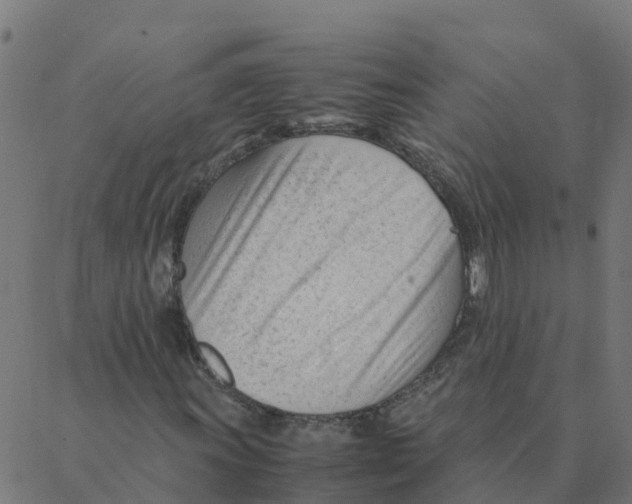 X0000087391011200705181302