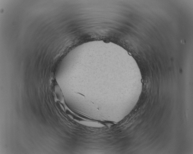 X0000087391012200705181302