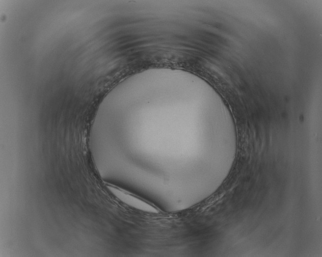 X0000087391013200705181302