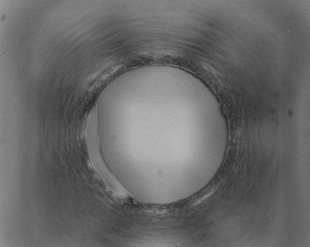 X0000087391014200705181302