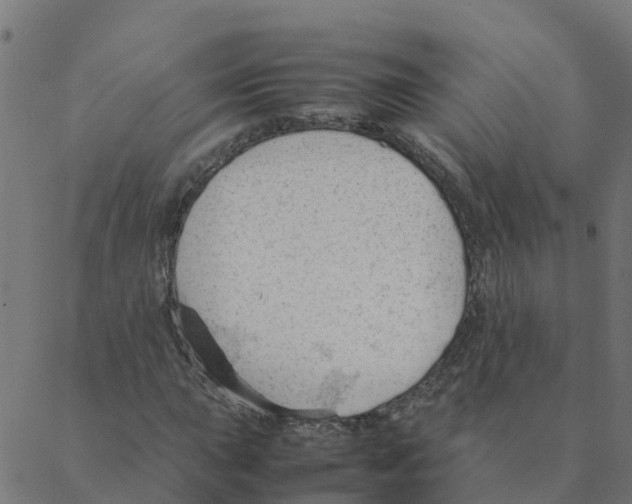 X0000087391015200705181302