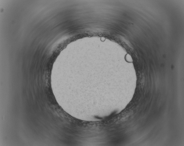 X0000087391016200705181302