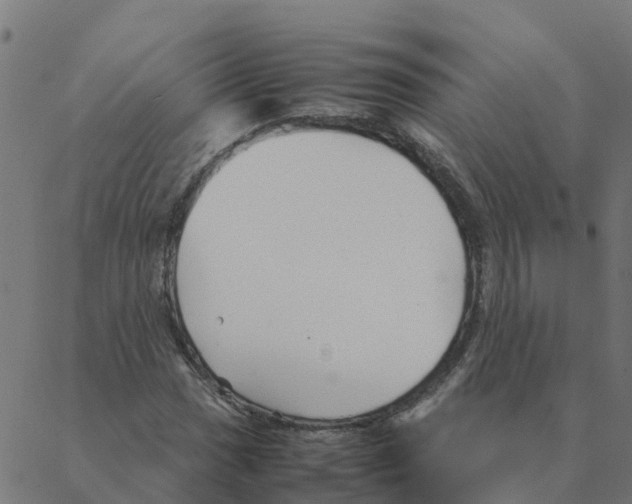 X0000087391017200705181302