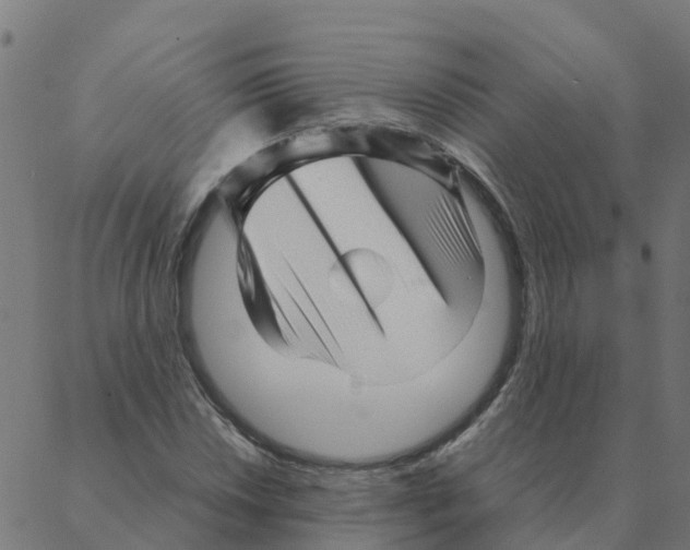 X0000087391018200705181302