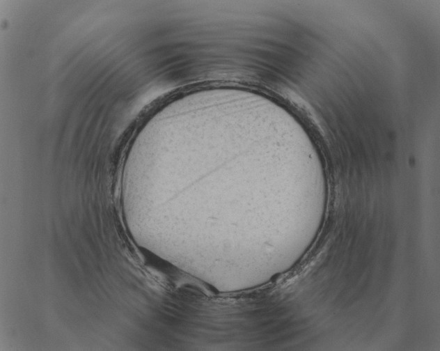 X0000087391019200705181302