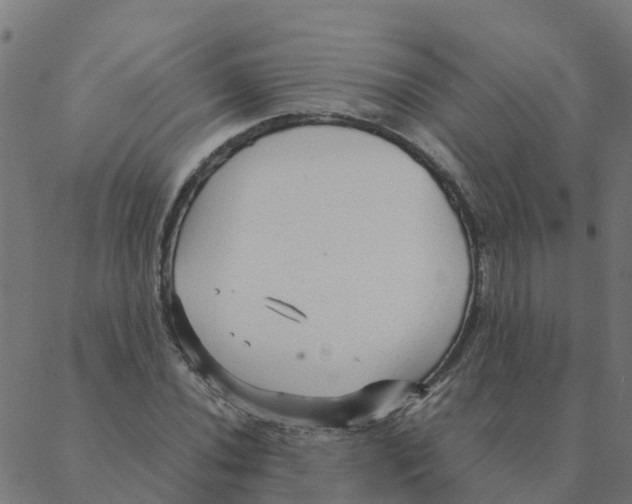 X0000087391020200705181302