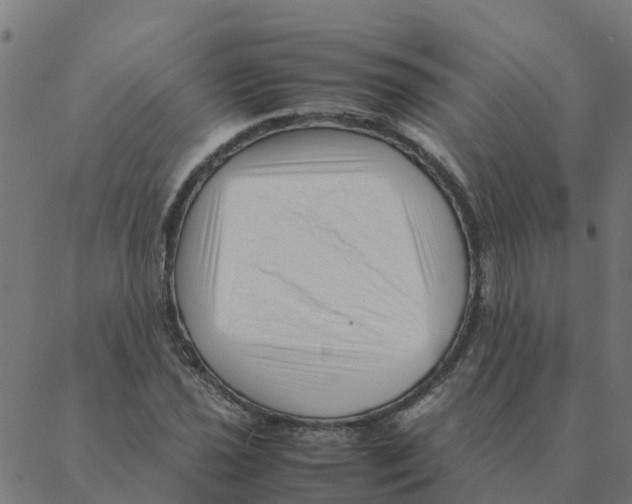 X0000087391021200705181302