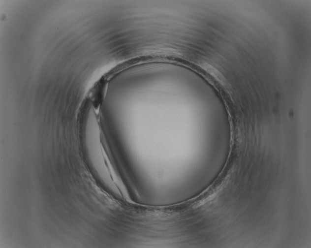 X0000087391022200705181302