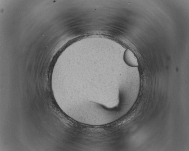 X0000087391023200705181302