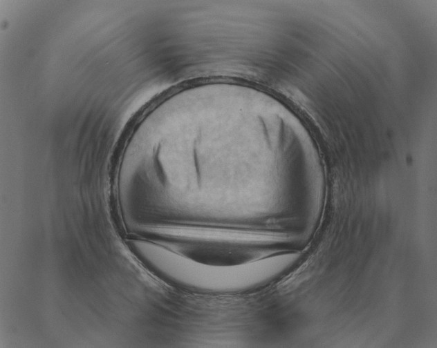 X0000087391024200705181302