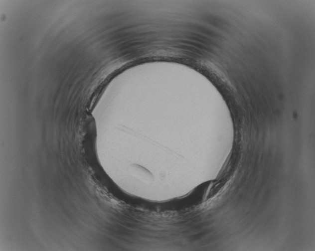 X0000087391025200705181302