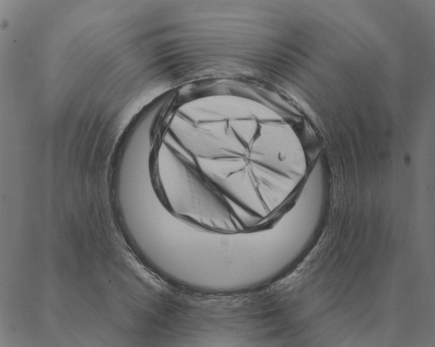 X0000087391026200705181302