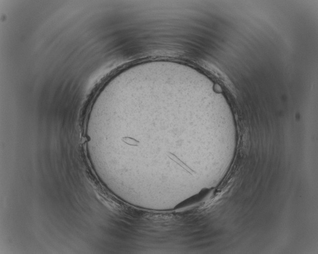 X0000087391027200705181302