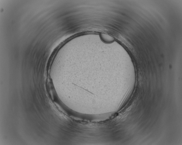 X0000087391028200705181302