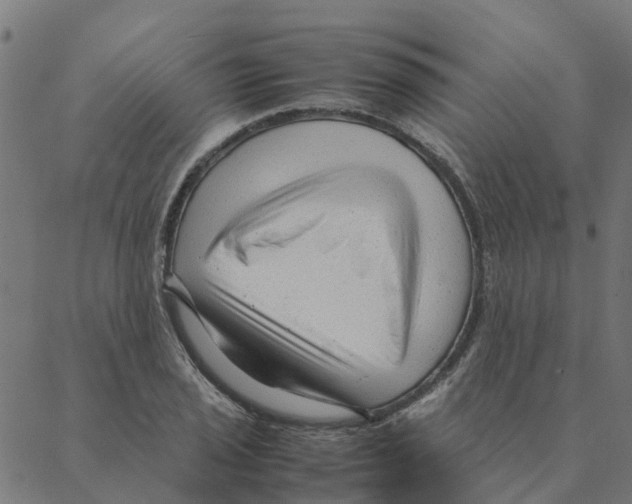 X0000087391029200705181302