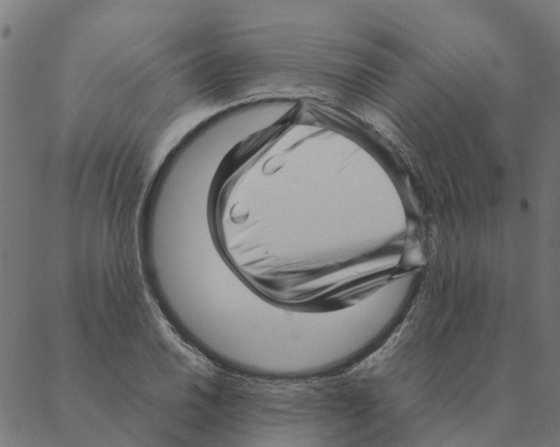 X0000087391030200705181302