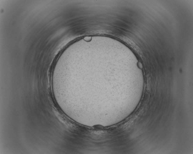 X0000087391031200705181302