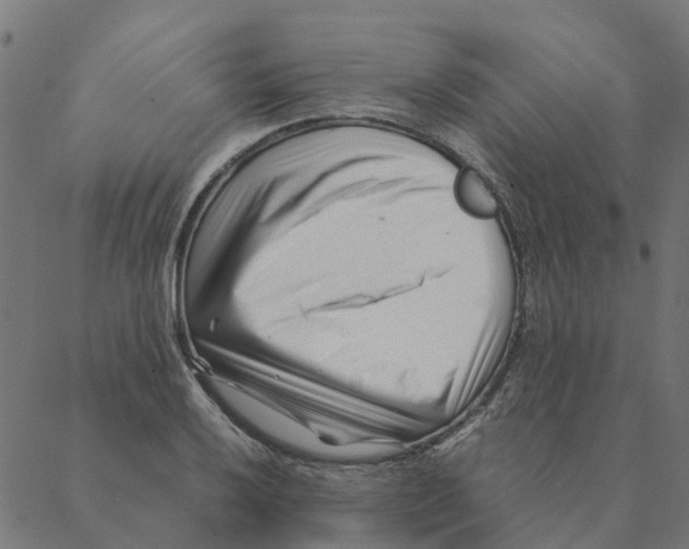 X0000087391032200705181302