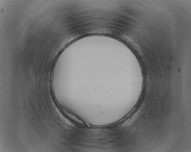 X0000087391033200705181302