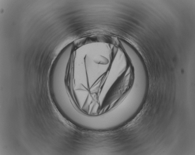 X0000087391034200705181302