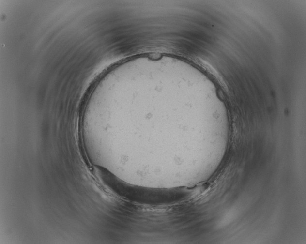 X0000087391035200705181302