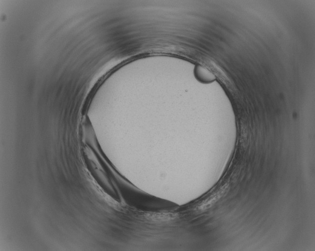 X0000087391036200705181302