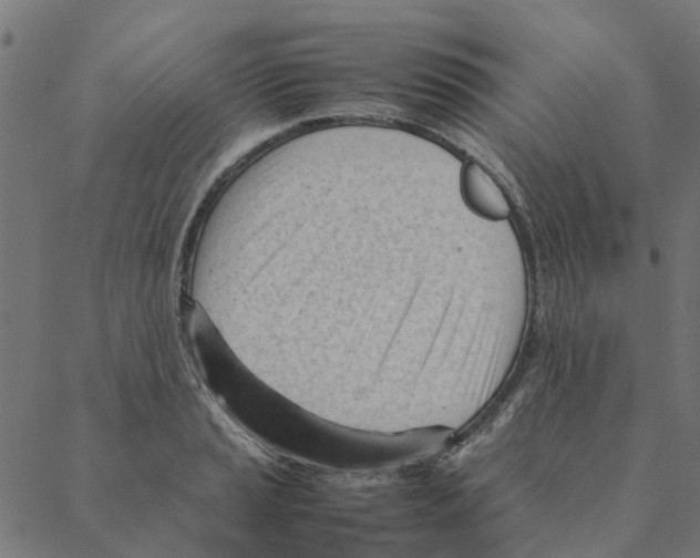 X0000087391037200705181302